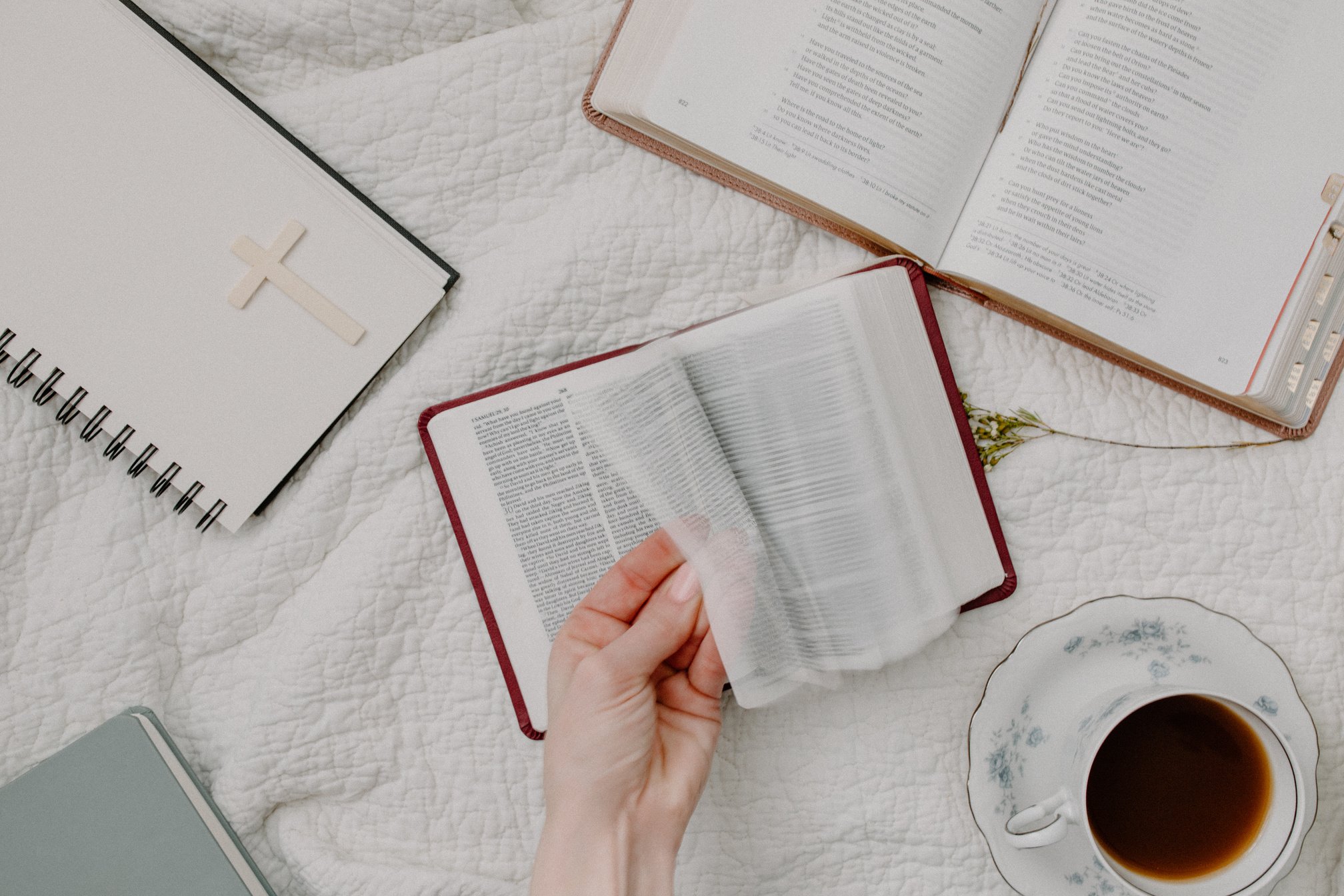 Person Holding White Book Page